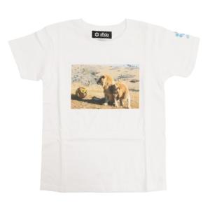 スフィーダ（SFIDA）（キッズ）ジュニア Football Zoo ライオンTシャツ SA-20501KD｜supersportsxebio