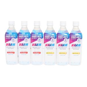 ヴァーム（VAAM）（メンズ、レディース、キッズ）ヴァームスマートフィットウォーター 500ml 6本セット 2650055｜supersportsxebio