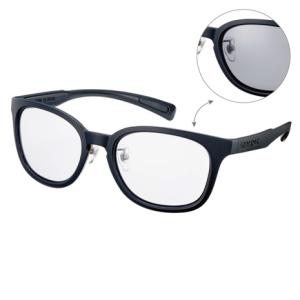 SWANS（スワンズ） （メンズ、レディース）サングラス ラディアント