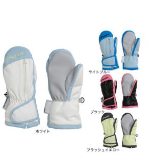 THE NORTH FACE（ザ ノースフェイス） メンズ スキー グローブ Fakie