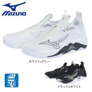 ミズノ（MIZUNO）（メンズ、レディース）バレーボールシューズ ウエーブモーメンタム3 V1GA2...