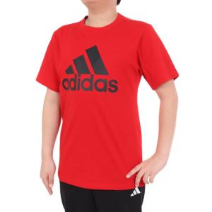 アディダス（adidas）（キッズ）キッズ エッセンシャルズ プラス ビッグロゴ 半袖Tシャツ KWF38-JE1746｜supersportsxebio