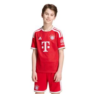 adidas（アディダス） チェルシー 13-14 ホーム 半袖オーセンティック
