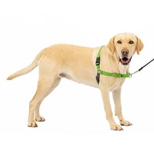 PetSafe イージーウォークハーネス 犬 ハーネス 大型犬 引っ張り防止 調整簡単 抜けない 耐久性が高い（L アッ