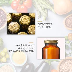 ビオチンスーパーハイポテンシビオチン10000...の詳細画像3