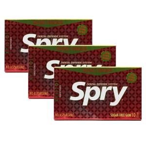 クリア スプライ キシリトールガム シナモン 10粒入り Xlear Spry Xylitol Gum Cinnamon 10 Pieces 3set