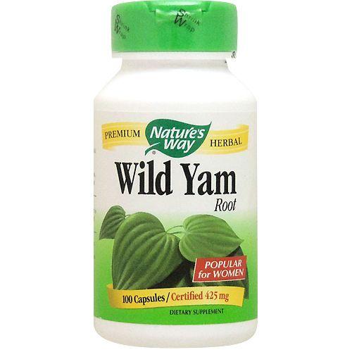 ワイルドヤム  メキシコヤマイモ  100粒