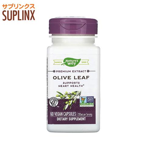 オリーブリーフ プレミアムエキス 60粒　Olive Leaf Premium Extract