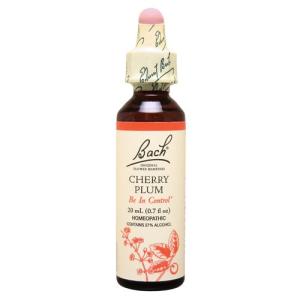 3 ビーチ バッチフラワーレメディ 20 ml : サプリンクス Yahoo!店