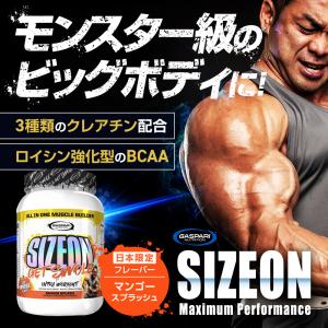 サイズオン マキシマムパフォーマンス Hide...の詳細画像1