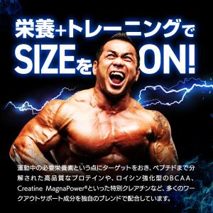 サイズオン マキシマムパフォーマンス Hide...の詳細画像4