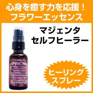 電子負荷療法の実際とメカニズム」 : タカダイオン治療器 - 通販