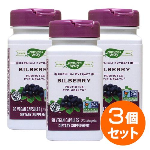 【3個セット】ビルベリーエキス（ブルーベリーエキス） 90粒入   ブルーベリー 目 サプリンクスN...