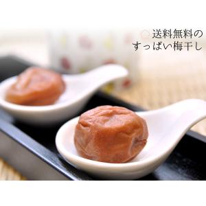 訳あり2400円 送料無料 すっぱいにし川の梅干し(訳あり品...