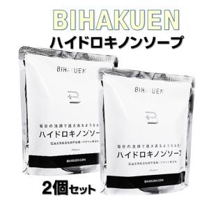 IPSお得セット（PP2✖️1本・石鹸✖️1 個） サンエイ パイプパッキンセット PP432-1S-16 : webby shop