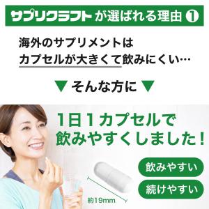 ナイアシンアミド (ビタミンB3) 250mg...の詳細画像2