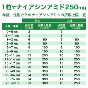ナイアシンアミド (ビタミンB3) 250mg...の詳細画像5