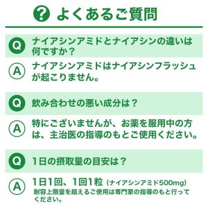 ナイアシンアミド (ビタミンB3) 500mg...の詳細画像3