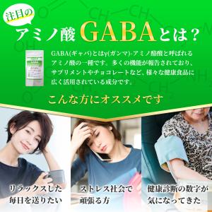 ギャバ GABA サプリ 1日200mg 60...の詳細画像4