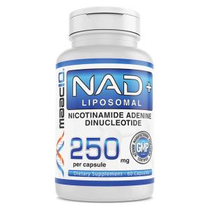 ペプチドプリマ 240g （高アミノ酸健康食品）（送料無料