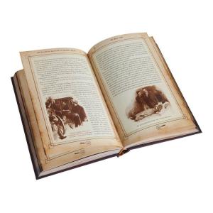 【洋書】シャーロック・ホームズの冒険 イラスト...の詳細画像4