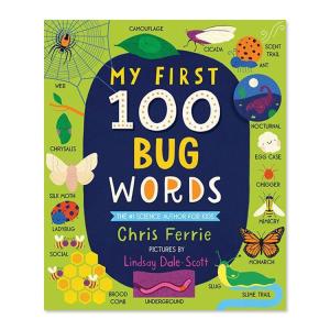 【洋書】マイ ファースト 100 バグ ワーズ ...の商品画像