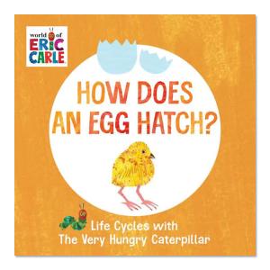 【洋書】卵はどうやって生まれるの？はらぺこあおむしのライフサイクル [エリック・カール] How Does an Egg Hatch？ Life Cycles [Eric Carle] 絵本｜supplefactory