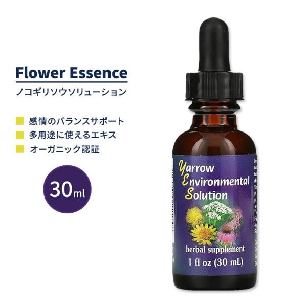 フラワーエッセンスサービス ノコギリソウ ソリューション ドロッパー 30ml (1 fl oz) ...