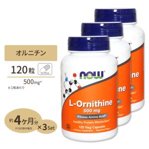 [3個セット] L-オルニチン 500mg (約4か月分) 3粒1500mgの「L-オルニチン」を配...