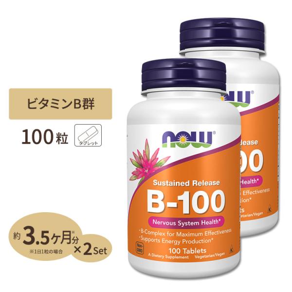 ビタミンB-100　タイムリリース　100粒 2個セット