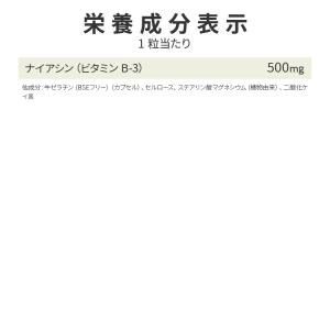 ナウフーズ ナイアシン サプリメント 500m...の詳細画像4