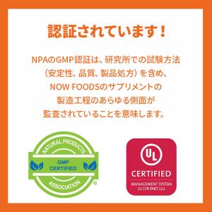 【プロバスケ レバンガ選手愛用】ナウフーズ 鉄...の詳細画像4