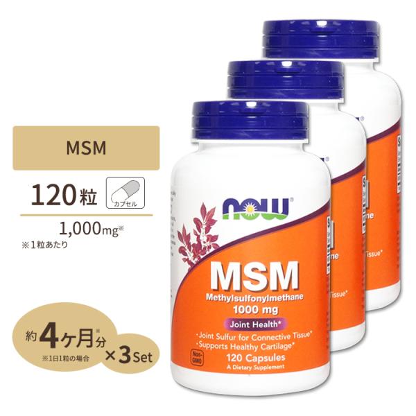 ナウフーズ ＮＯＷ　ＭＳＭ　1000mg　120粒 3個セット NOW Foods