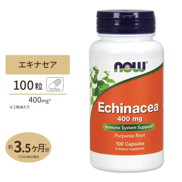 【クーポンあり】エキナセア 400mg 100粒 NOW Foods ナウフーズ サプリ