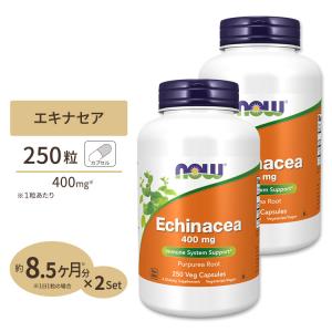 [2個セット] ナウフーズ エキナセア 400mg 250粒 NOW Foods Echinacea 400mg 250 Vef Capsules サプリメント サプリ 健康 バリア 季節の変わり目｜supplefactory