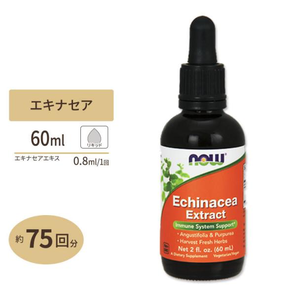 【クーポンあり】エキナセアエキス リキッド 60ml NOW Foods(ナウフーズ)