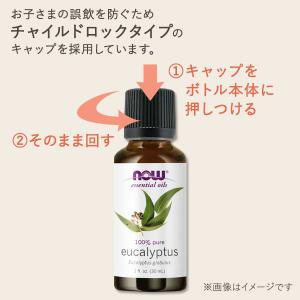 ティーツリー ティートゥリー オイル 118m...の詳細画像2