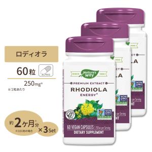 [3個セット] ネイチャーズウェイ ロディオラ エネルギー 250mg カプセル 60粒 Nature's Way Rhodiola Energy ロゼア エキス ハーブ イワベンケイ｜supplefactory