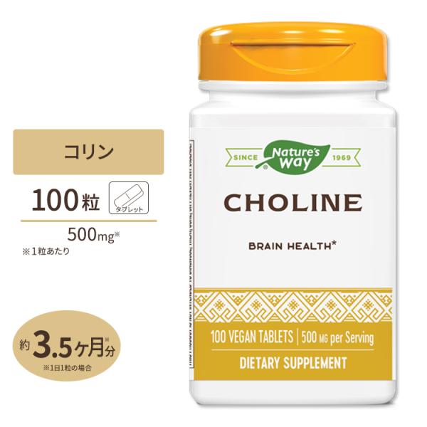 ネイチャーズウェイ コリン 500mg 100粒 Nature&apos;s Way Choline 500m...