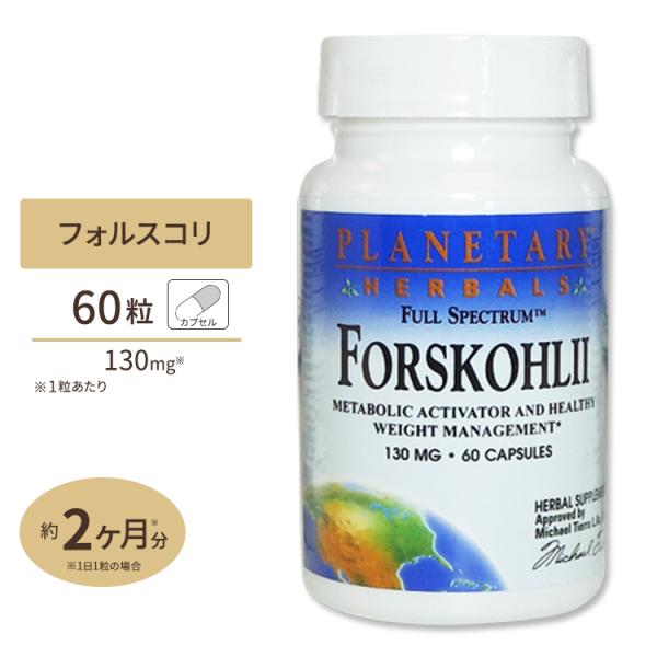 フォルスコリエキス (フォースリーン フォルスコリン20%) 130mg 60粒 サプリメント サプ...
