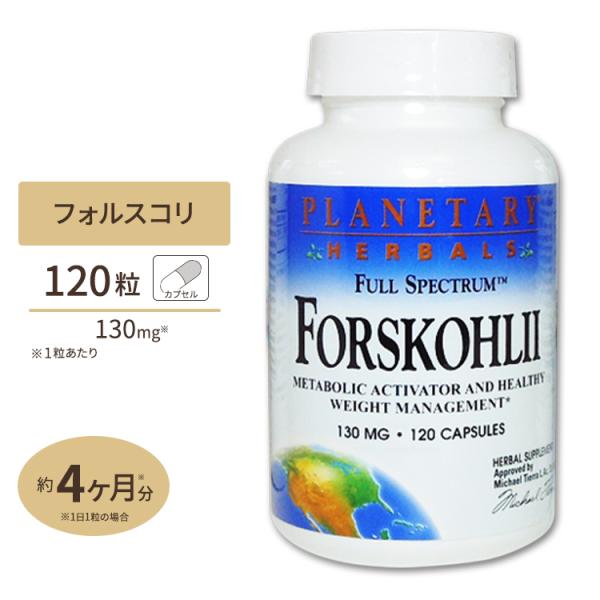 プラネタリーハーバルズ フォルスコリエキス (フォースリーン フォースコリン20%) 130mg 1...