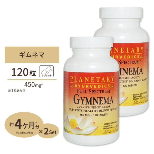【お得サイズ】[2個セット] プラネタリーハーバルズ ギムネマ (ギムネマ酸25%) 450mg 1...