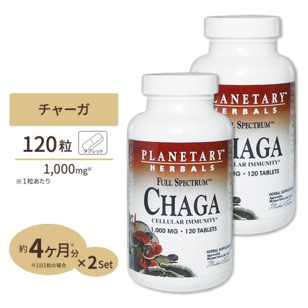 【お得サイズ】[2個セット] プラネタリーハーバルズ チャーガ 1000mg 120粒 タブレット ...