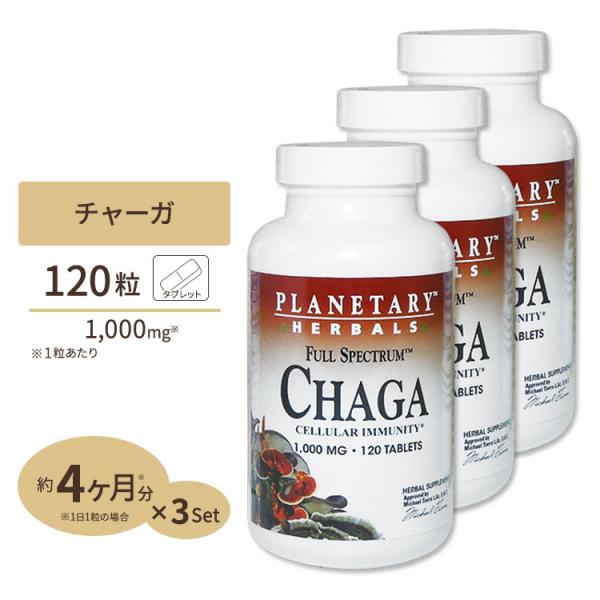 【お得サイズ】[3個セット] プラネタリーハーバルズ チャーガ 1000mg 120粒 タブレット ...