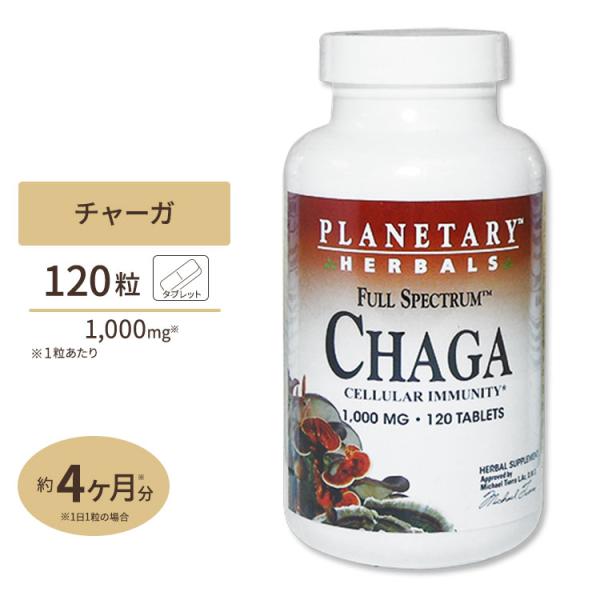 プラネタリーハーバルズ チャーガ 1000mg 120粒 タブレット Planetary Herba...