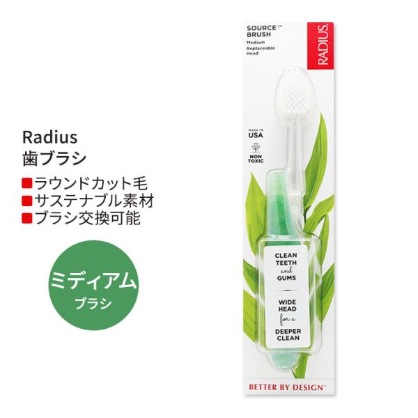ラディウス ソース フロス ブラシ ミディアム ソーダポップエコグラインド Radius Sourc...
