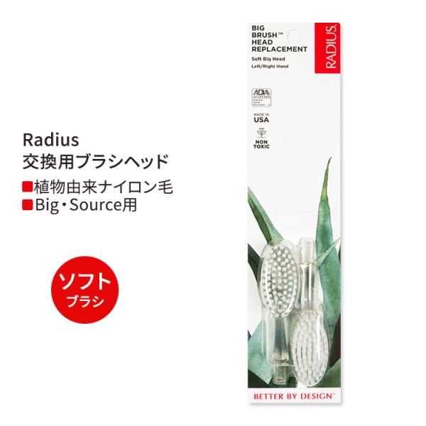 ラディウス ビッグ 交換用ブラシヘッド ソフト 2本 Radius Big Brush Replac...