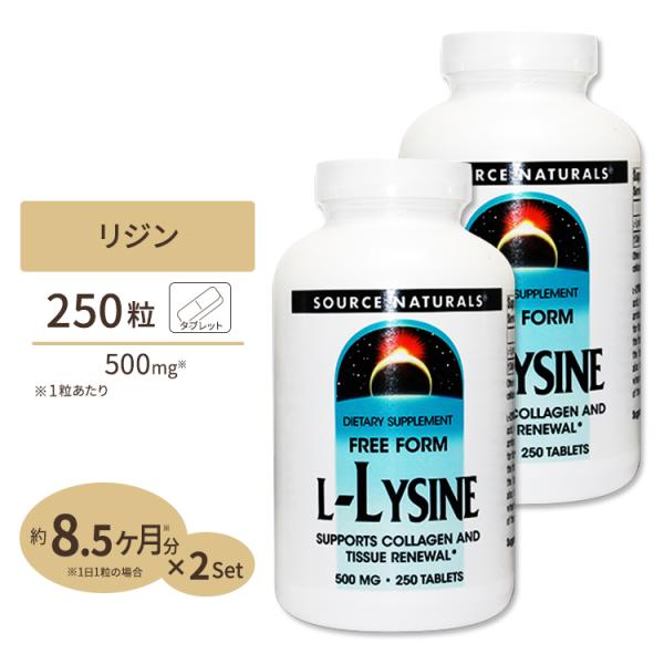 2個セット ソースナチュラルズ L-リジン 500mg 250粒 Source Naturals F...