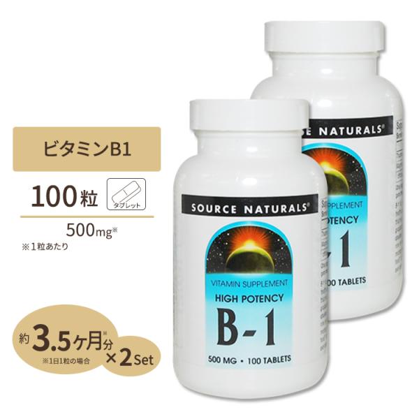 [2個セット] ソースナチュラルズ B-1 (マグネシウム配合) 500mg 100粒 Source...