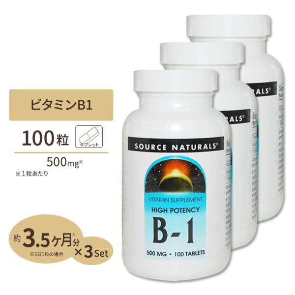 [3個セット] ソースナチュラルズ B-1 (マグネシウム配合) 500mg 100粒 Source...